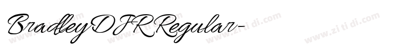 BradleyDJR Regular字体转换 BradleyDJR Regular字体转换